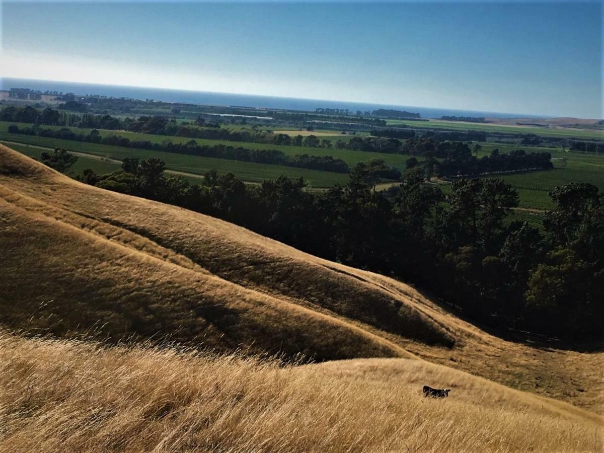 Hill Top Retreat Lower Dashwood المظهر الخارجي الصورة